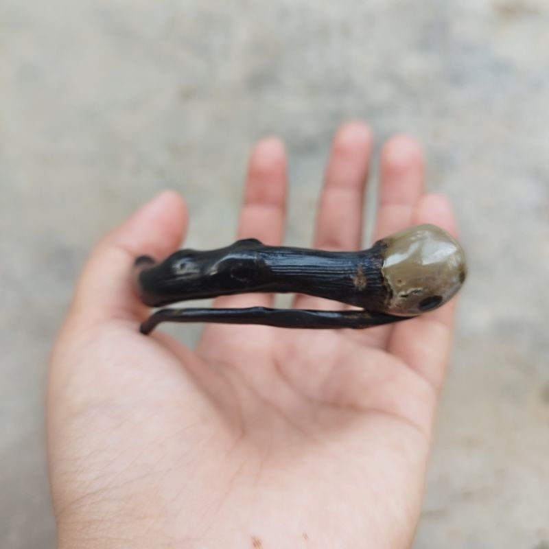 Gelang Akar Bahar Bonggol Kecil/Bonggol Unik