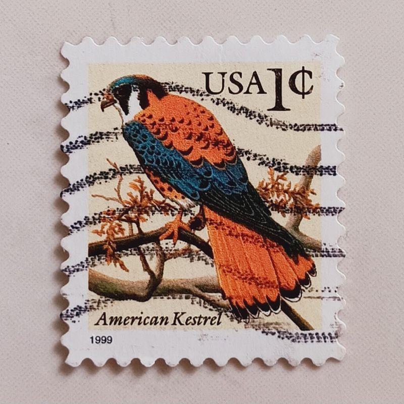 

(AE) Perangko Amerika Serikat 1995, 1996, 1999, 2000 Flora and Fauna Issue - American Kestrel (Falco sparverius) 1 cent Used