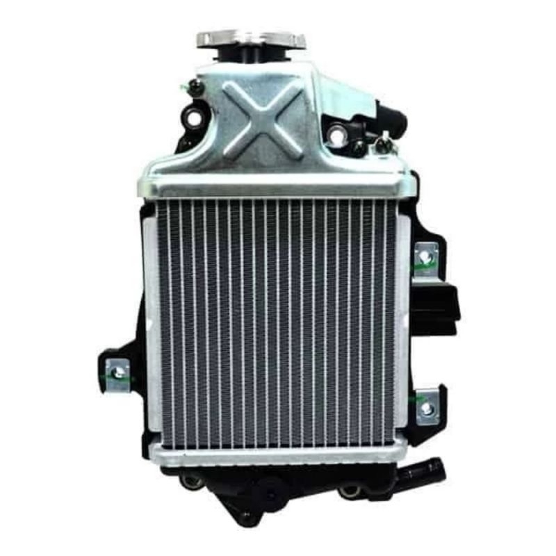 Radiator Assy - Vario 125 esp K60 19100K60B00