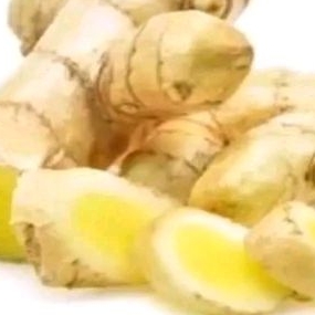 

Kunyit mangga segar 1kg (temu mangga/curcuma zedoaria)