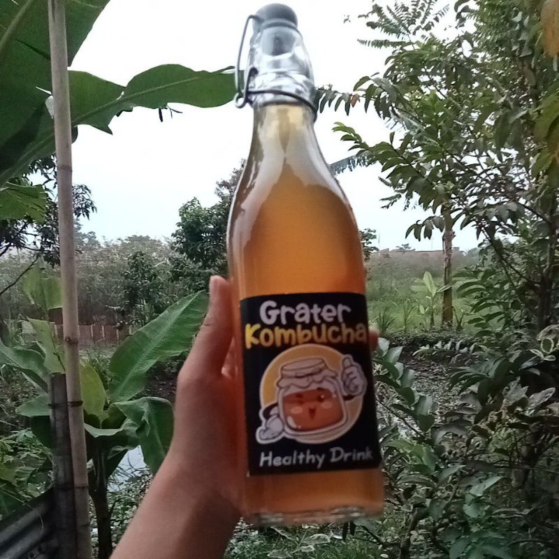 

Minuman Fermentasi Teh GRATER KOMBUCHA