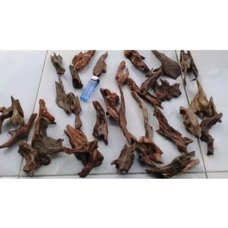 kayu rentek super mini ( kayu rentek kusus ditailing hadscape)  aquarium aquascape