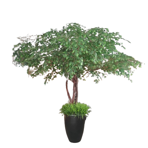 Pohon Beringin/Pohon Artificial/Pohon Plastik