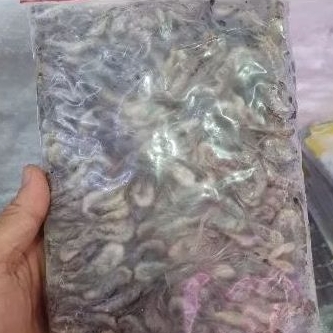 

Udang Sawah Beku 500 Gram