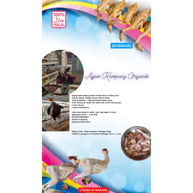 

Ayam Kampung Asli Organik Fresh 1 Kg