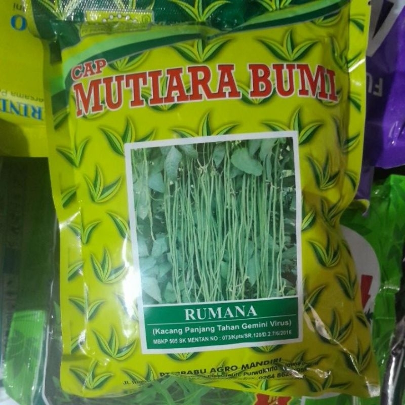 

kacang panjang Rumana (hijau)#original#