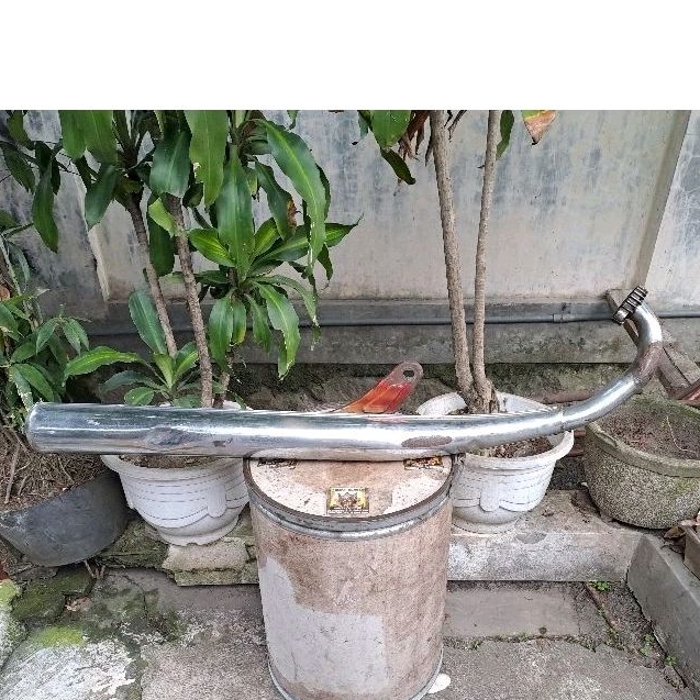 knalpot suzuki gt100 gt125 ORIGINAL knalpot suzuki gt 100 gt 125 knalpot gt100 knalpot gt