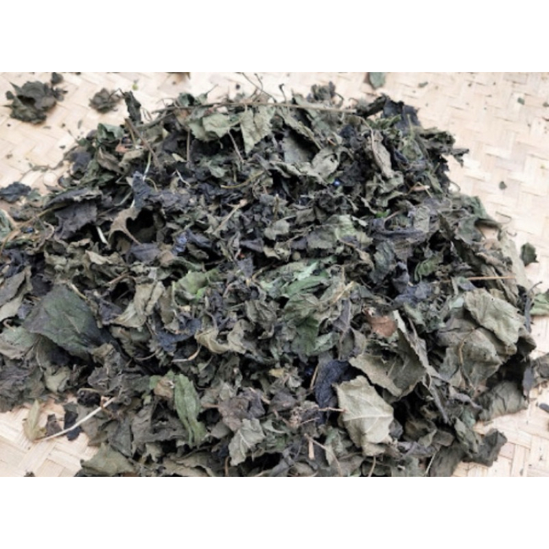 

Daun tembelekan daun lantana kering organik 250 gram-az