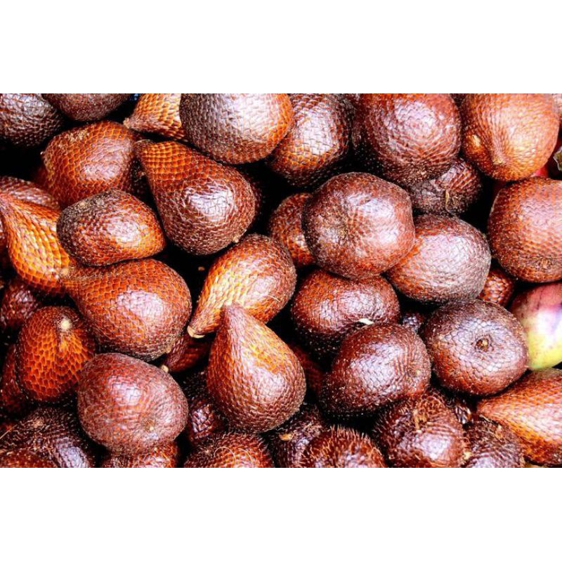 

SALAK PONDOH 1KG
