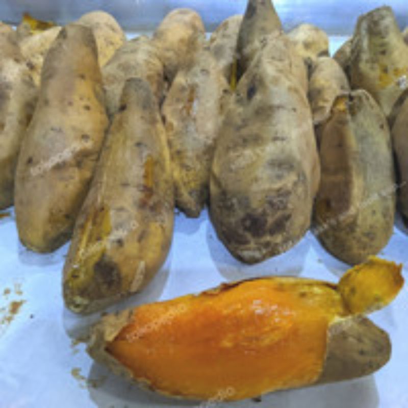 

Ubi Bakar Madu (Ardiana92)