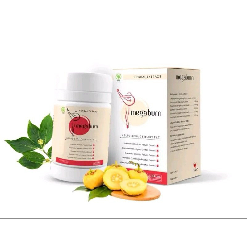 Megaburn Pelangsing Original - Megaburn Penurun Berati Badan - Megaburn Pelangsing Herbal