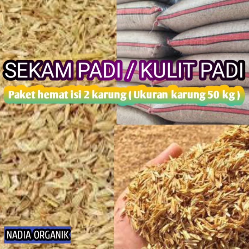 Sekam padi / kulit padi PAKET HEMAT 2 Karung (ukuran karung 50 kg)