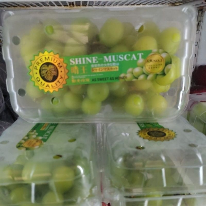

Anggur Hijau Autum/box 500g