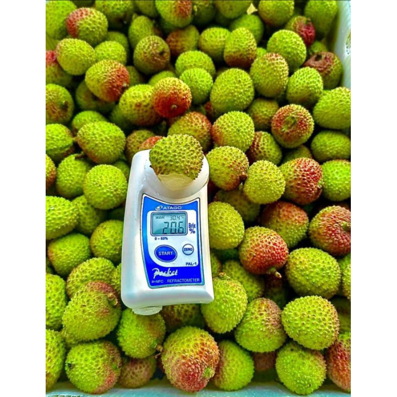 

Leci Madu Fresh Import