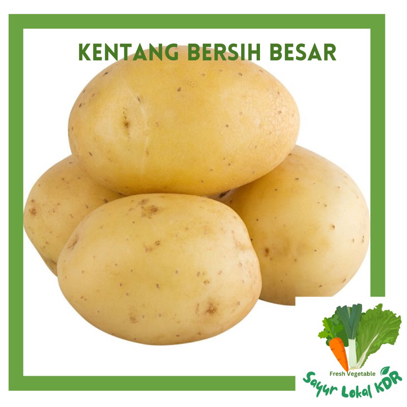 

• KENTANG BERSIH BESAR 1KG