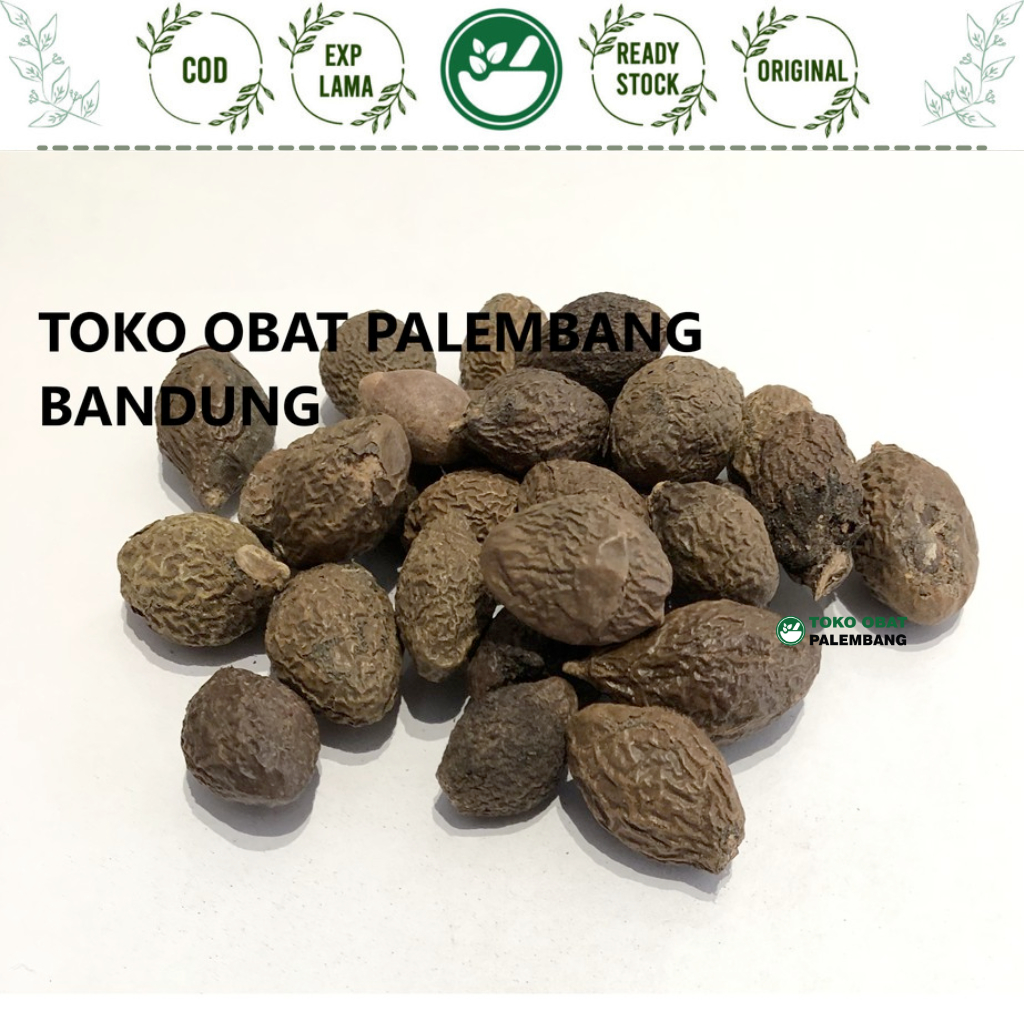 

ANTEHAI 10GRAM TEMPAYANG TEMPOYAN SEMANGKUK BENGTAHAI BANG TA HAI AN TE HAI ANTAIHAI PANAS DALAM