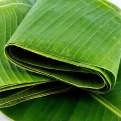 

Daun Pisang Hijau Segar Paket 4 lembar potong 20cm