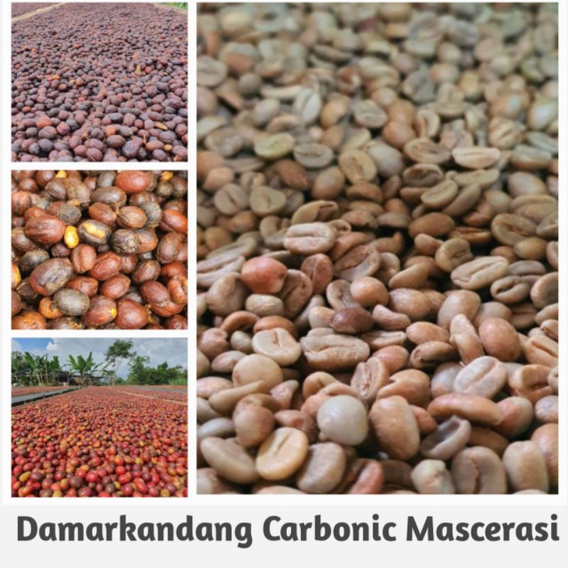 

Greenbens Arabika Damarkandang Carbonic Specialty Gn.Argopuro 1kg