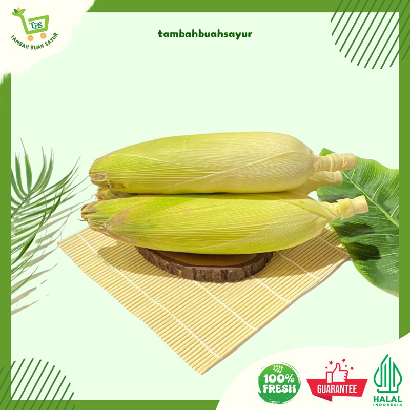 

JAGUNG KUALITAS PREMIUM (KHUSUS SAMEDAY DAN INSTAN)