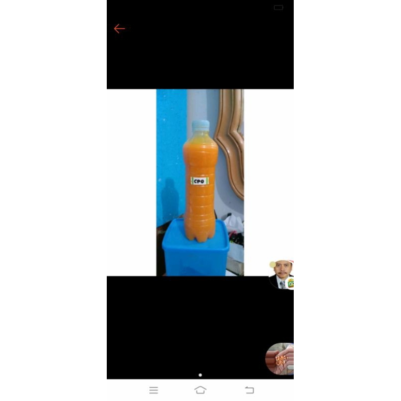 crude palm oil, cpo, pakan ternak