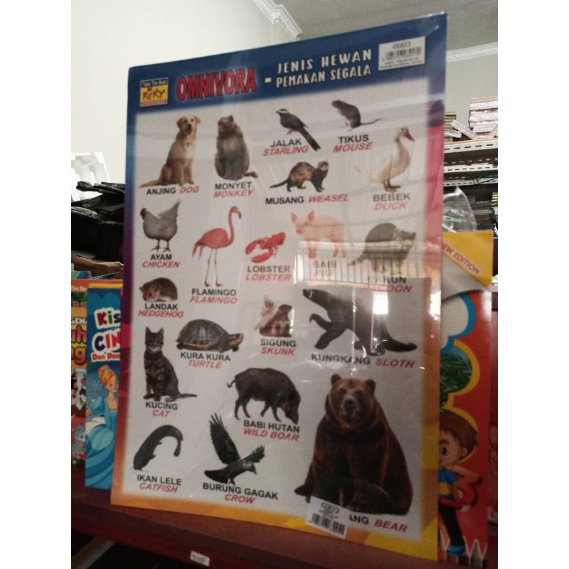 Poster Anak Ekslusif Omnivora Hewan Pemakan Segala