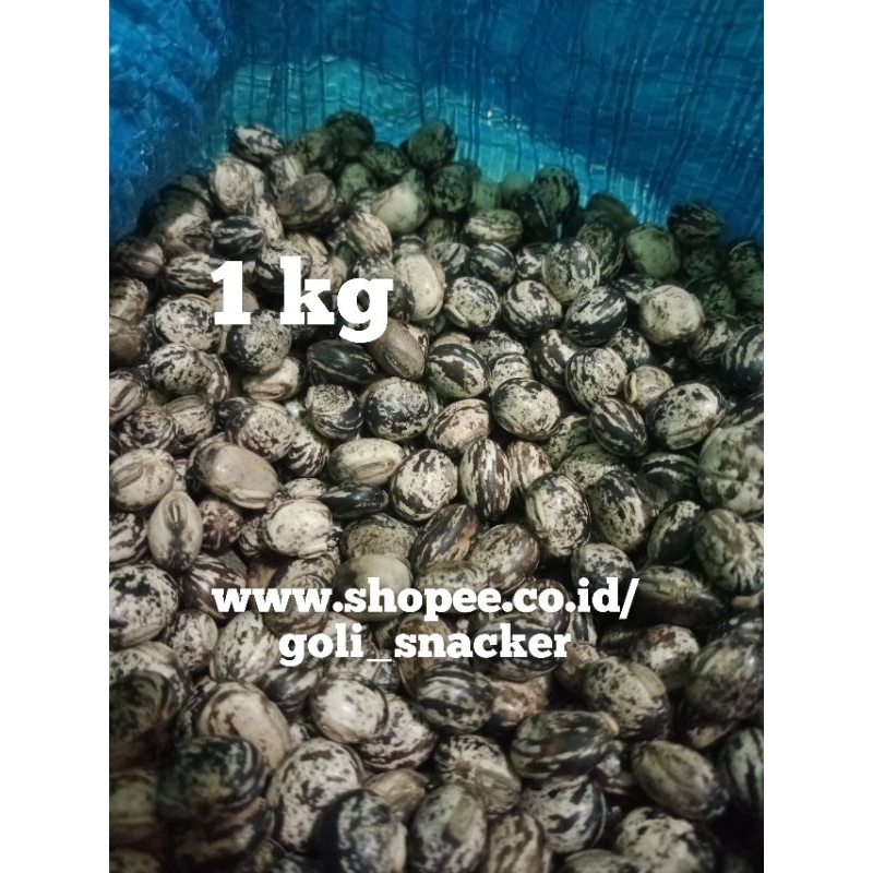 

Mucuna Kacang Koro Benguk Blirik Mentah Kiloan 1 Kg