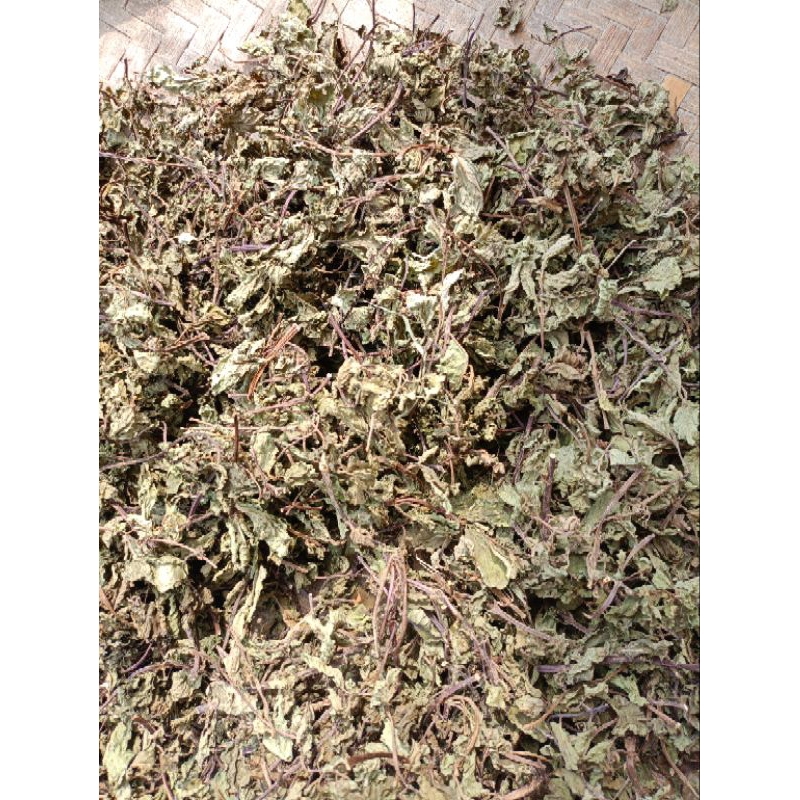 

Daun Mint Kering Asli