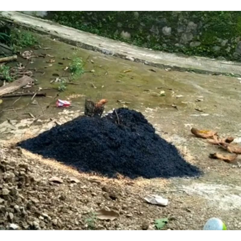 SEKAM BAKAR / ARANG SEKAM