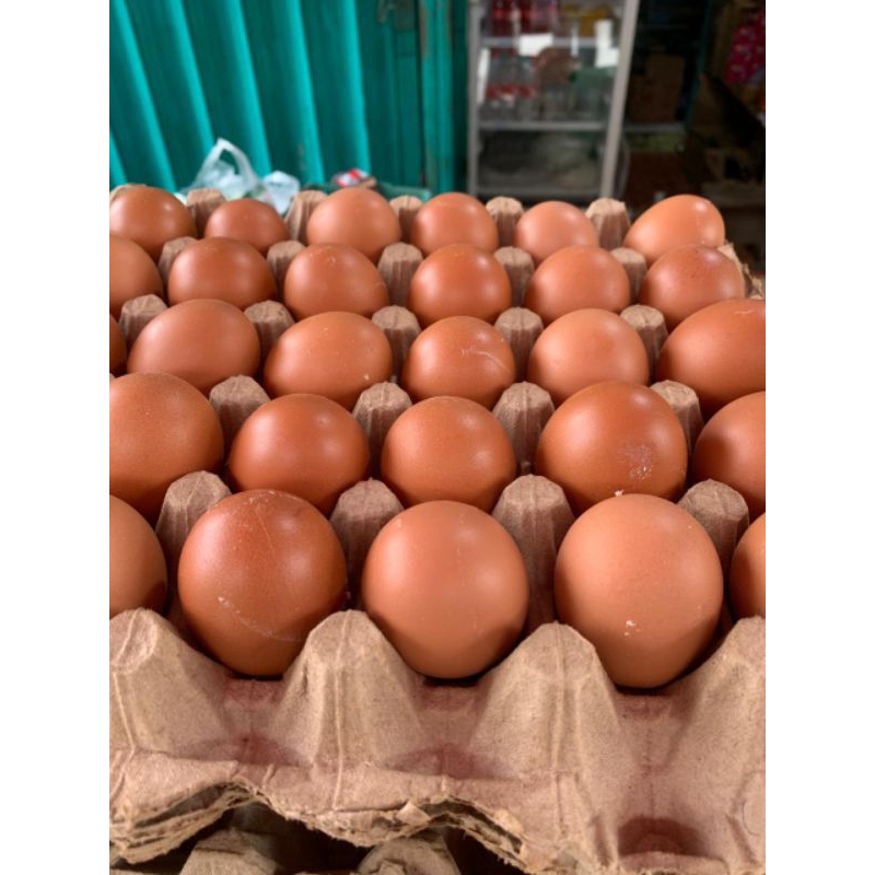 

TELOR NEGERI FRESH 1 KG (16 TELUR)