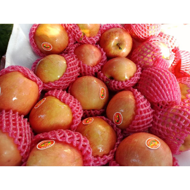 

apel fuji import premium