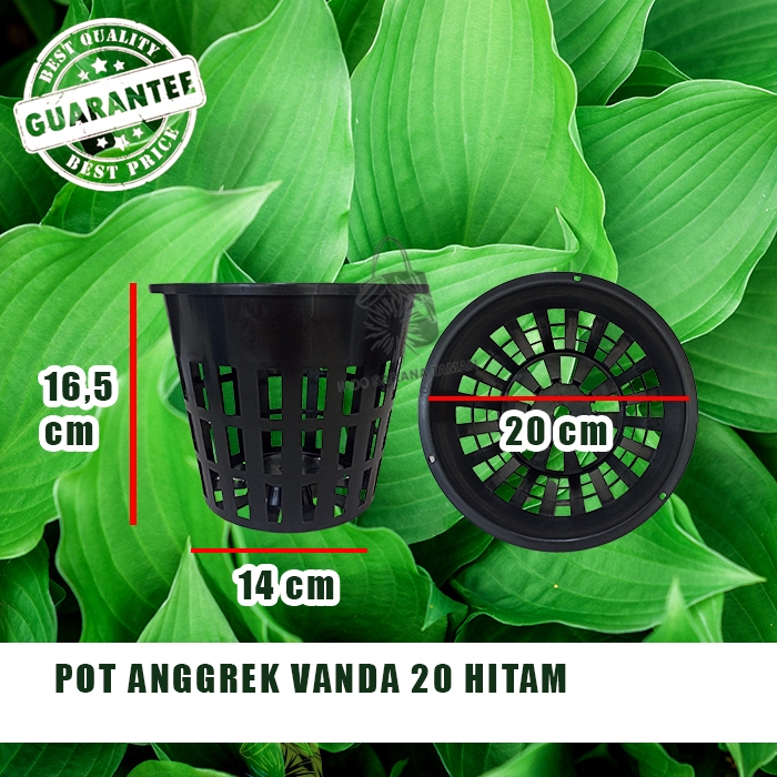 POT ANGGREK VANDA 20 HITAM Pot Gantung Anggrek Pot Bunga Pot Tanaman Grosir Pot