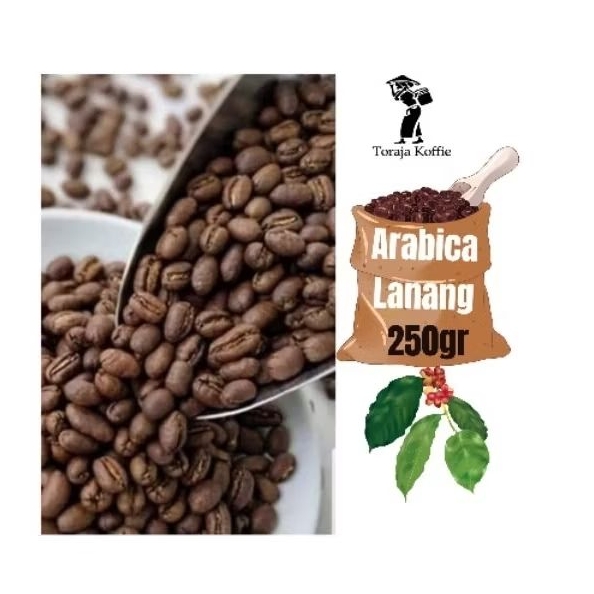 

Toraja Koffie Kopi Arabika Toraja Arabica Peabery 250gr Kopi Biji dan Bubuk Kopi Arabica Toraja