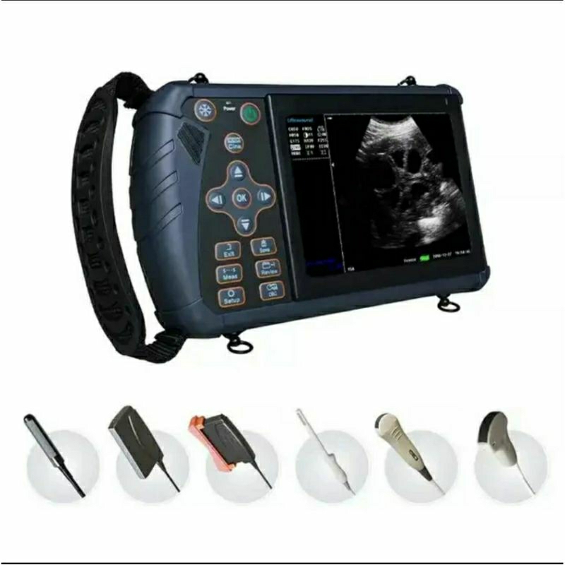 USG PORTABLE HEWAN/ USG VET ULTRASOUND EURPET