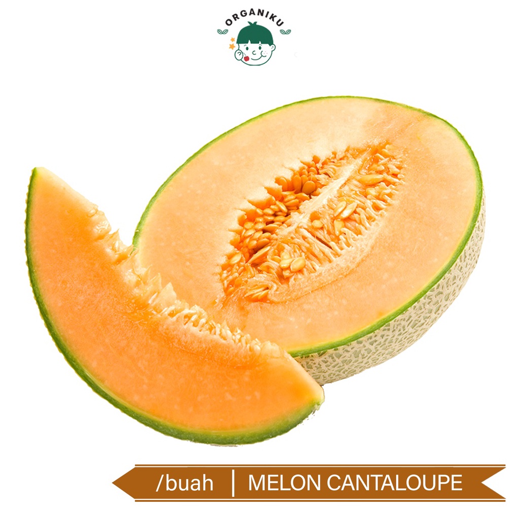 

Ready Stock Melon Canteloupe Utuh DL6