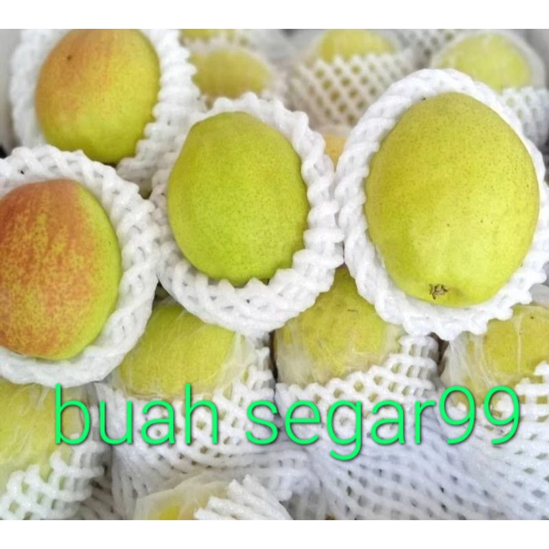 

pir sangli/pear xianglie manis fresh/1kg