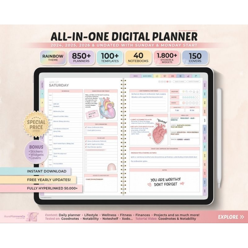 

Rainbow All in One Planner 2024, 2025, 2026, undated planner journal noteshelf goodnotes xodo pdf