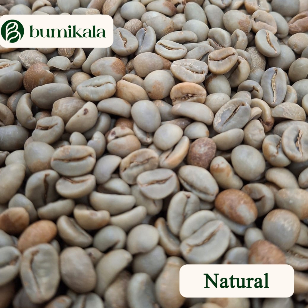 

GREEN BEANS ARABICA GAYO SPECIALTY NATURAL