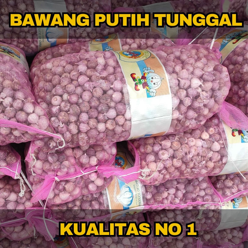 

Bawang Putih Tunggal Lanang Kualitas Premium Import Super