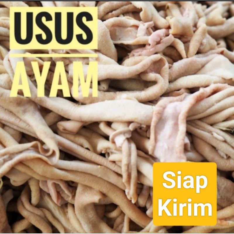 

USUS AYAM