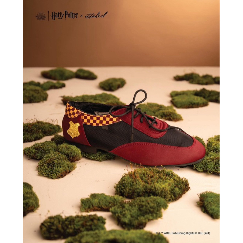 Ittaherl Harry Potter Quidditch Gryffindor 36