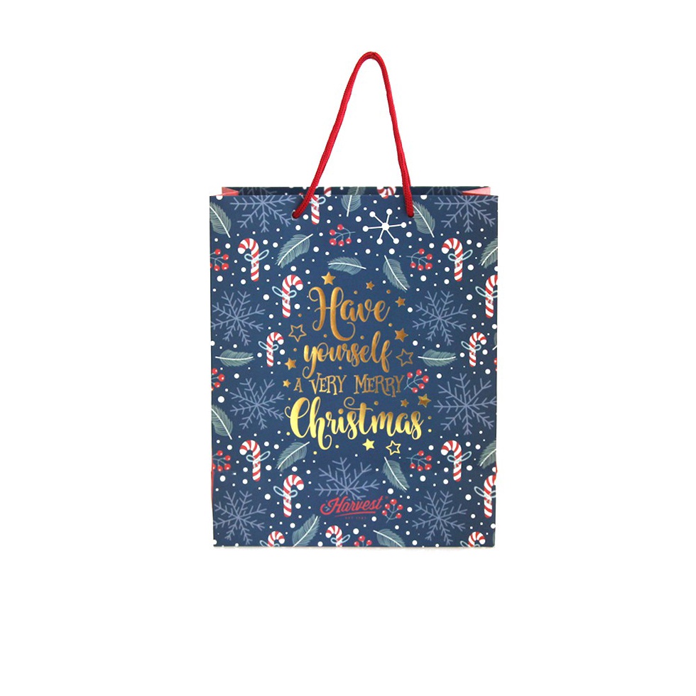 

LUAR BIASA Paper Bag Natal Christmas Xmas Carol Navy