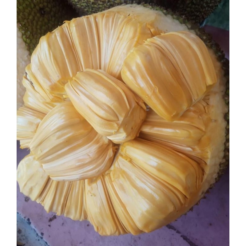 

nangka kupas 500gr