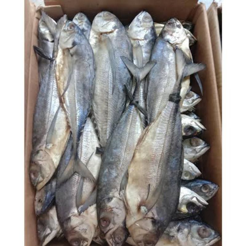 

Ikan Asin Caru /Tegang Ekor 100 gr (Seafood Kering)