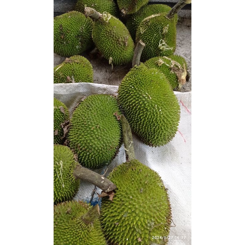 

kluweh fresh