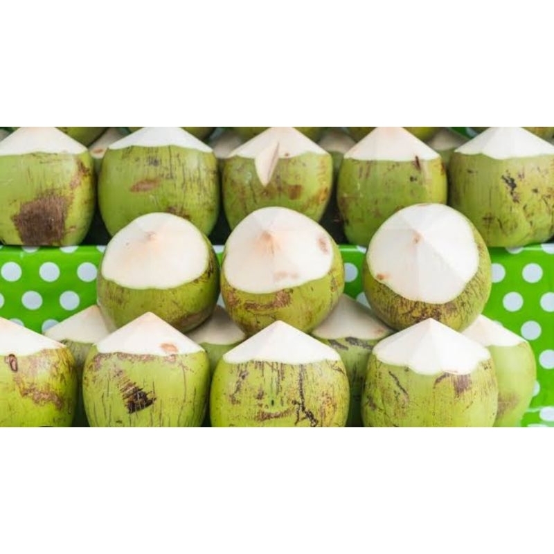 

custom kelapa muda