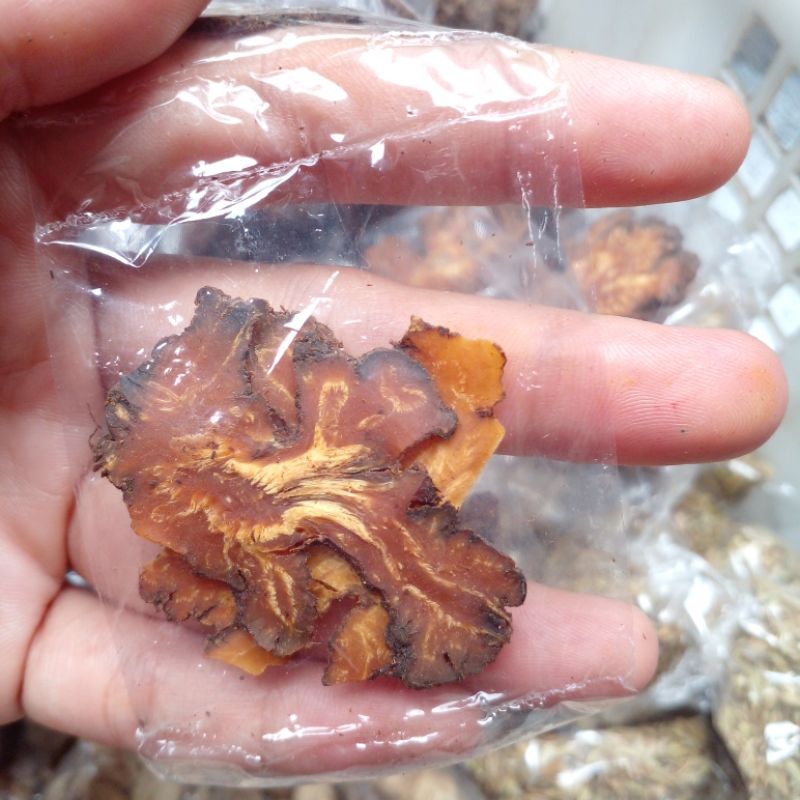 

rempah geganti/daun ganti ganti renteng