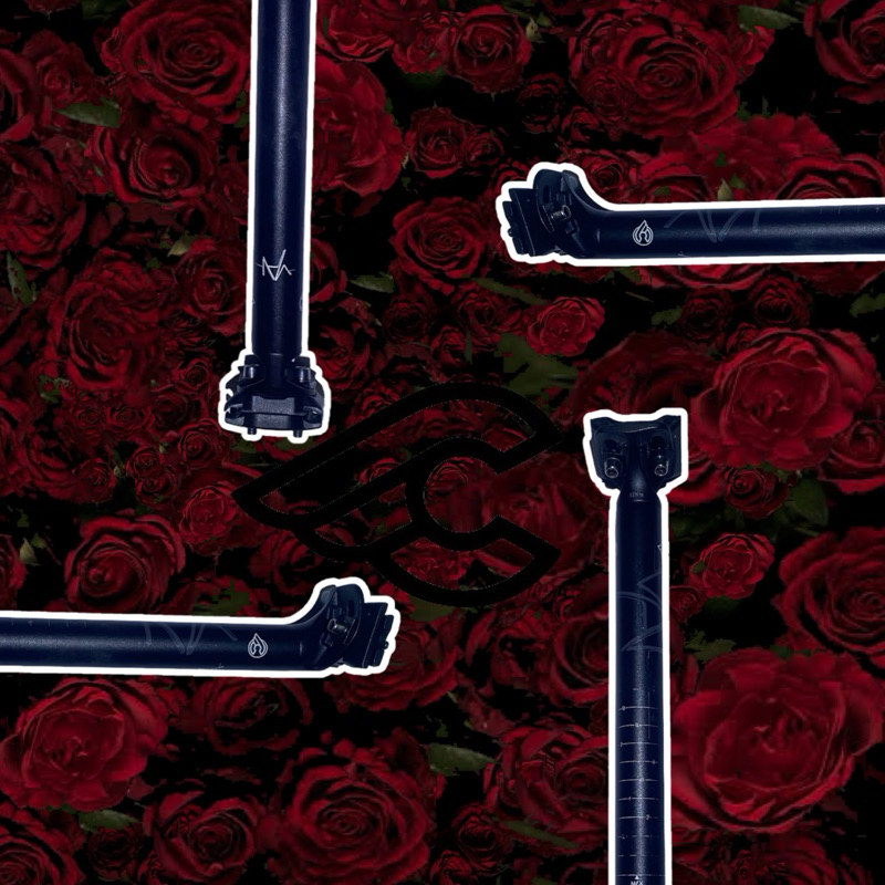 seatpost cinelli vai