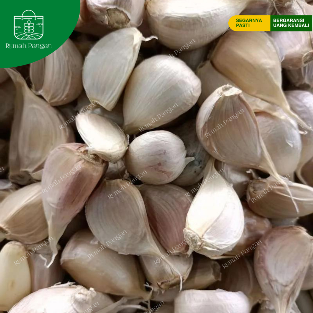 

Bawang Putih Kating Bersih