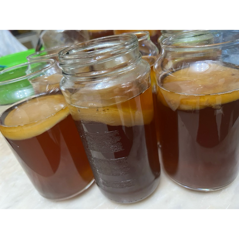 

RB Scoby Kombucha Premium + Starter Kuat 100 ML