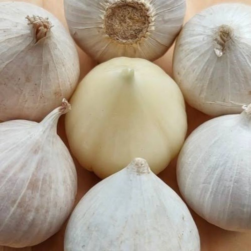 

Bawang lanang tunggal || jumbo super || sortir terbaik || 100gr